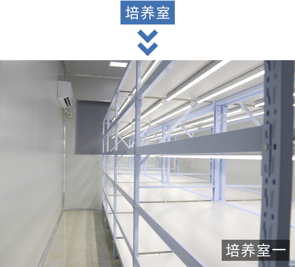 紹興規劃案例_09.jpg