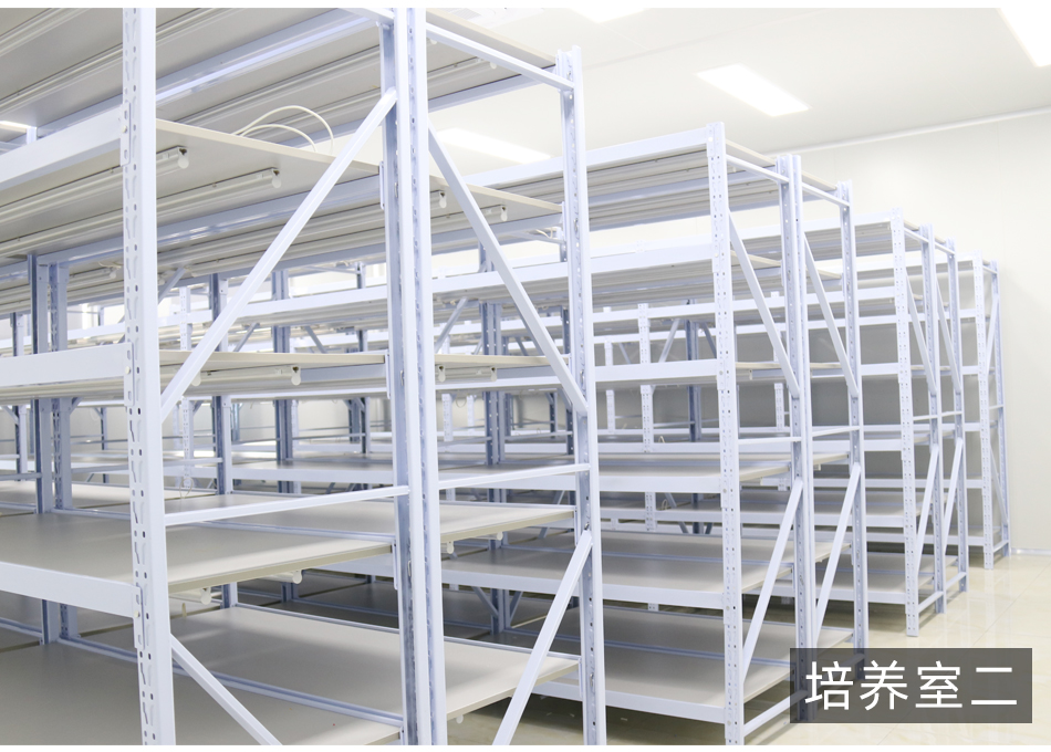 紹興規劃案例_10.jpg