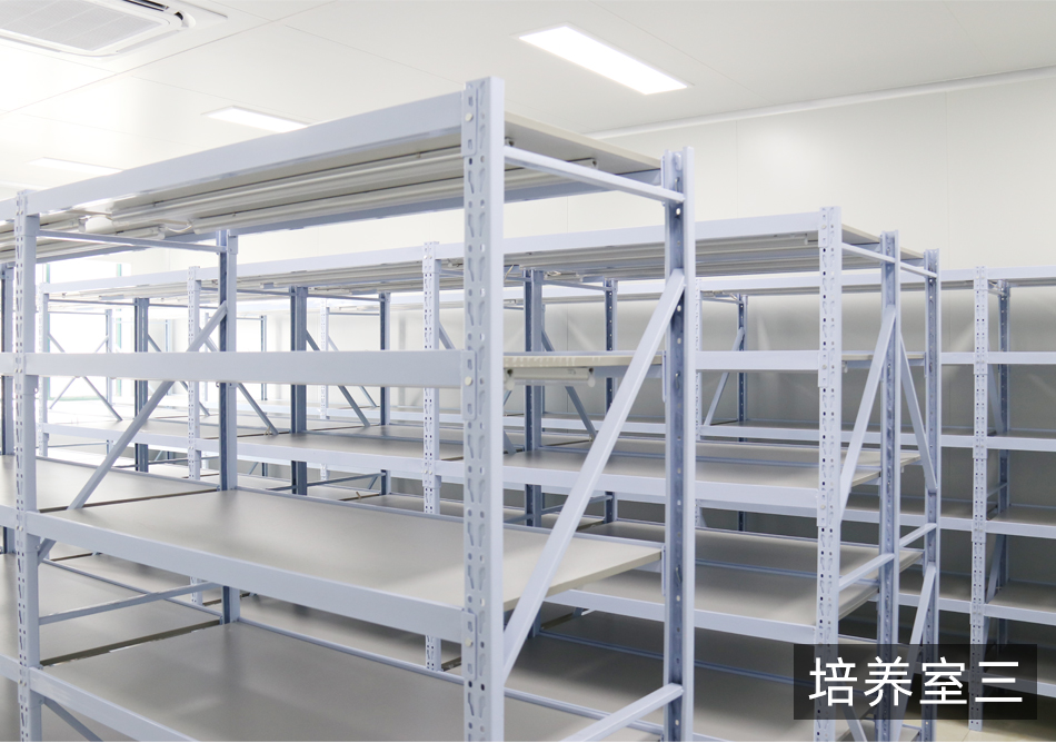 紹興規劃案例_11.jpg
