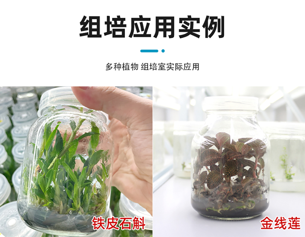活性炭_08.jpg