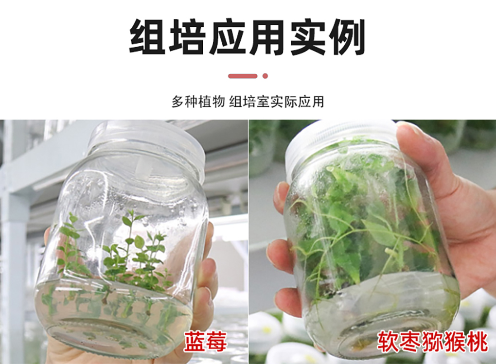 卡拉膠_05.jpg