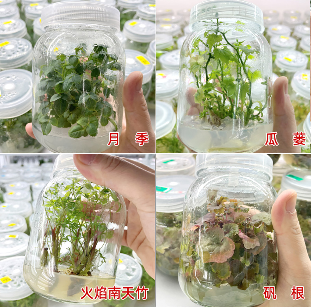培養基詳情頁(yè)_14.jpg