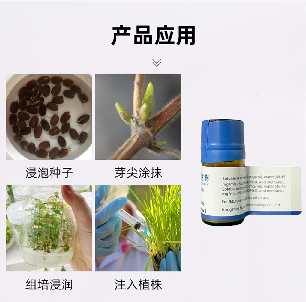 秋水仙素_03.jpg