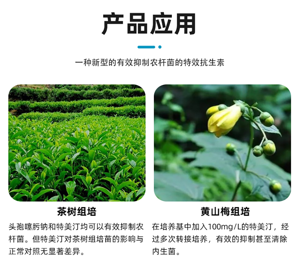 特美汀詳情頁(yè)_05.jpg