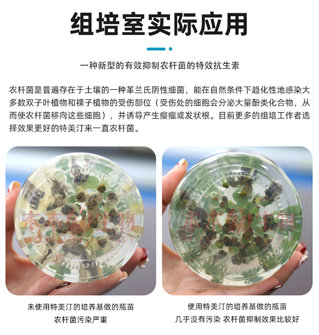 特美汀詳情頁(yè)_06.jpg
