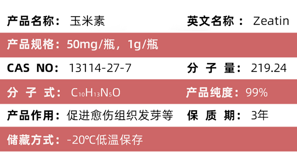 玉米素_03.jpg