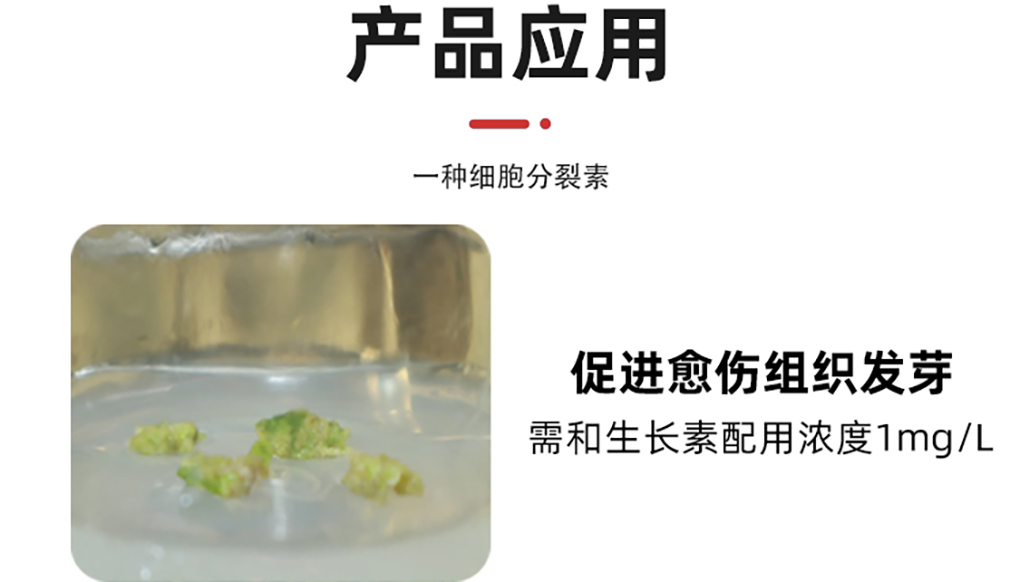玉米素_05.jpg