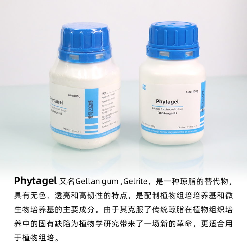 植物凝膠_04.jpg