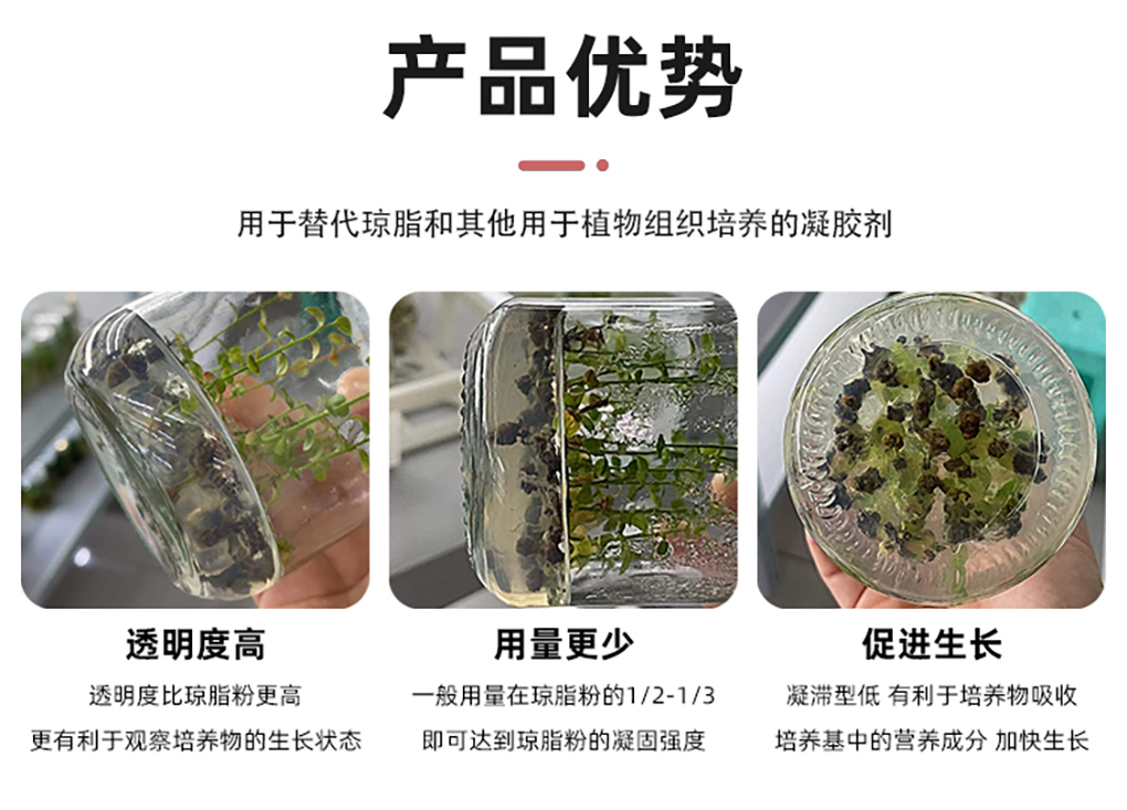 植物凝膠_05.jpg
