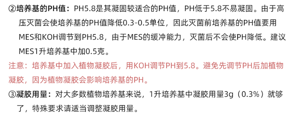 植物凝膠_07.jpg